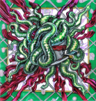 medusa medusa